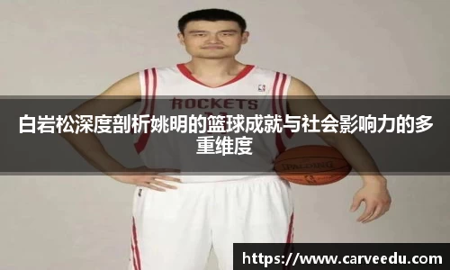 白岩松深度剖析姚明的篮球成就与社会影响力的多重维度
